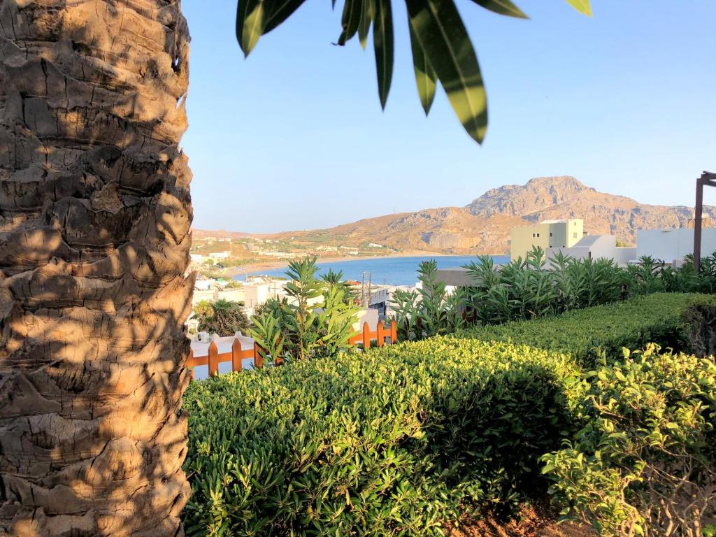 Lappa Hotel photo 4