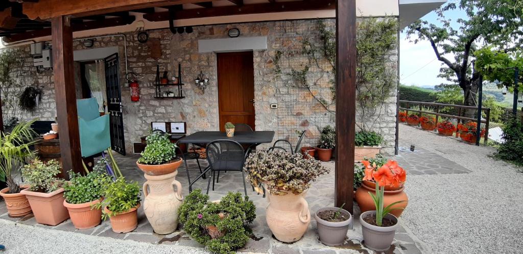 B&B Le Terrazze photo 1