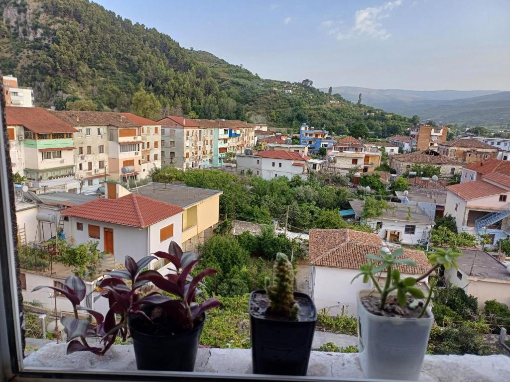 Enxhi's apartment