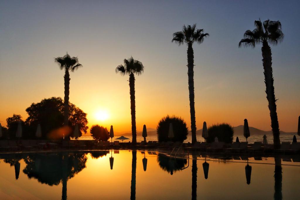 Irina Beach Hotel photo 4
