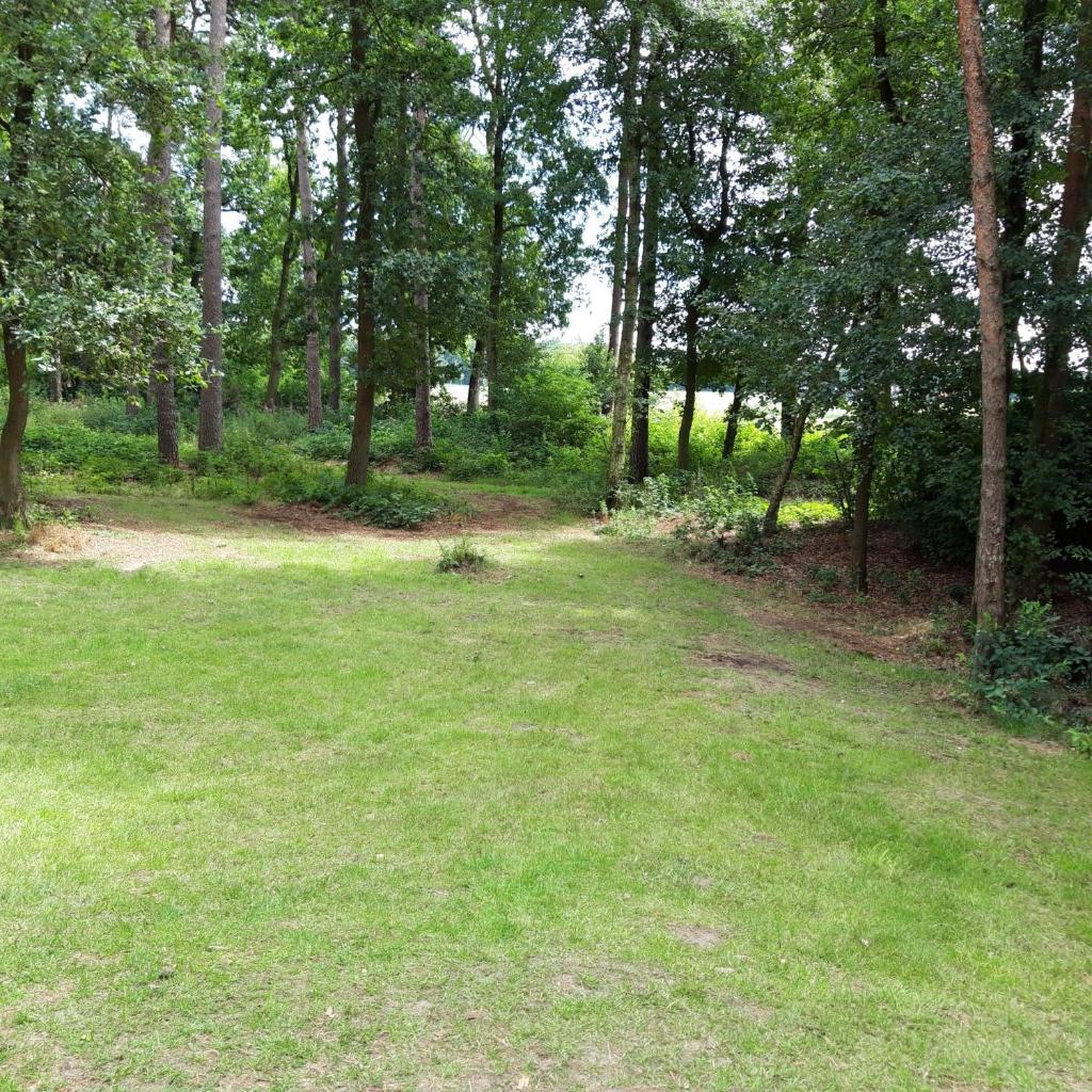 Vakantiehuis op top locatie #Ommen photo 3