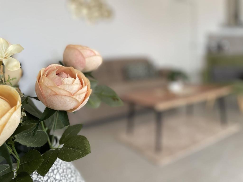 IseoLakeRental - Wonder House photo 2