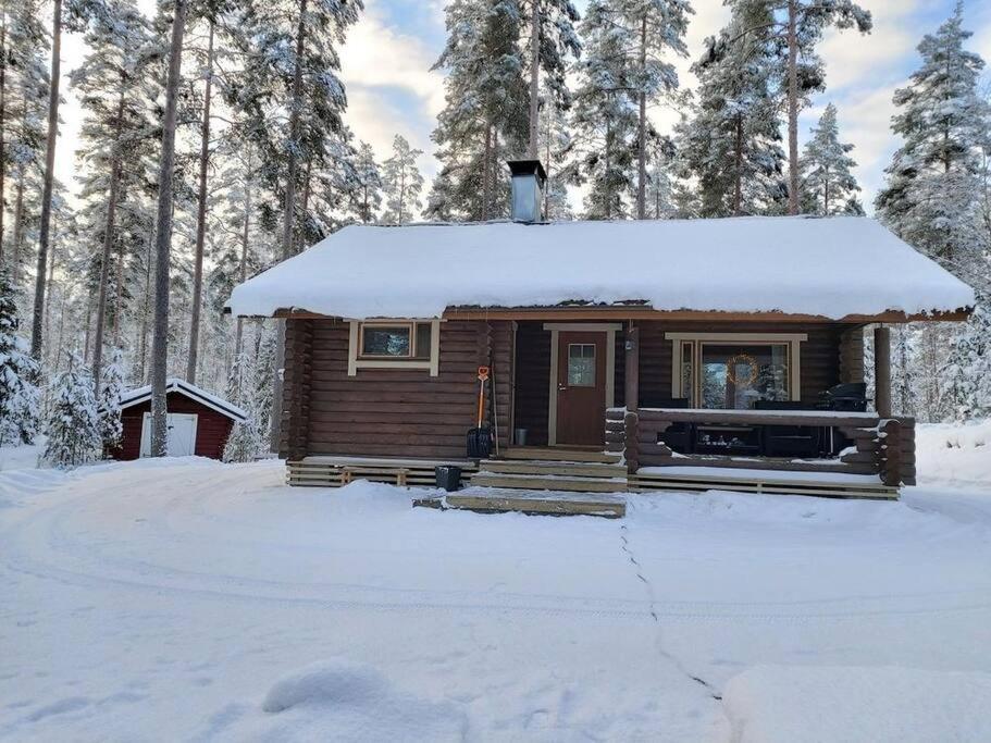 Unique winter holiday in pine forest photo 2