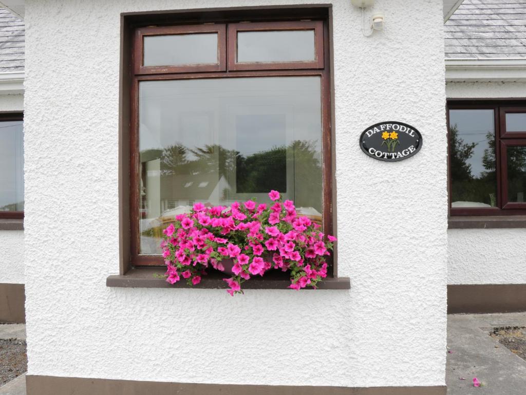 Daffodil Cottage photo 2