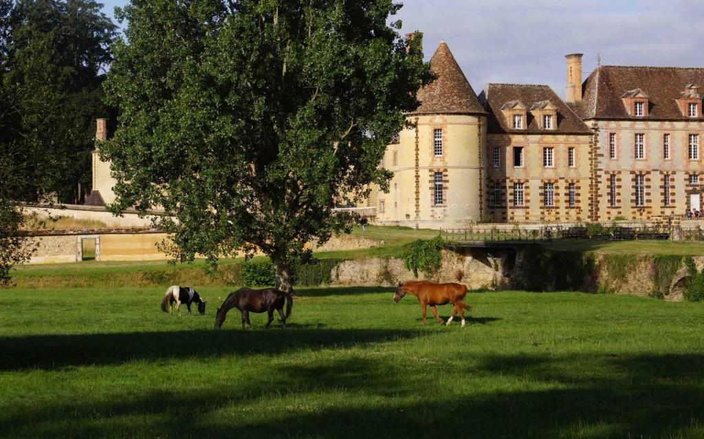 Château de La Rivière photo 3