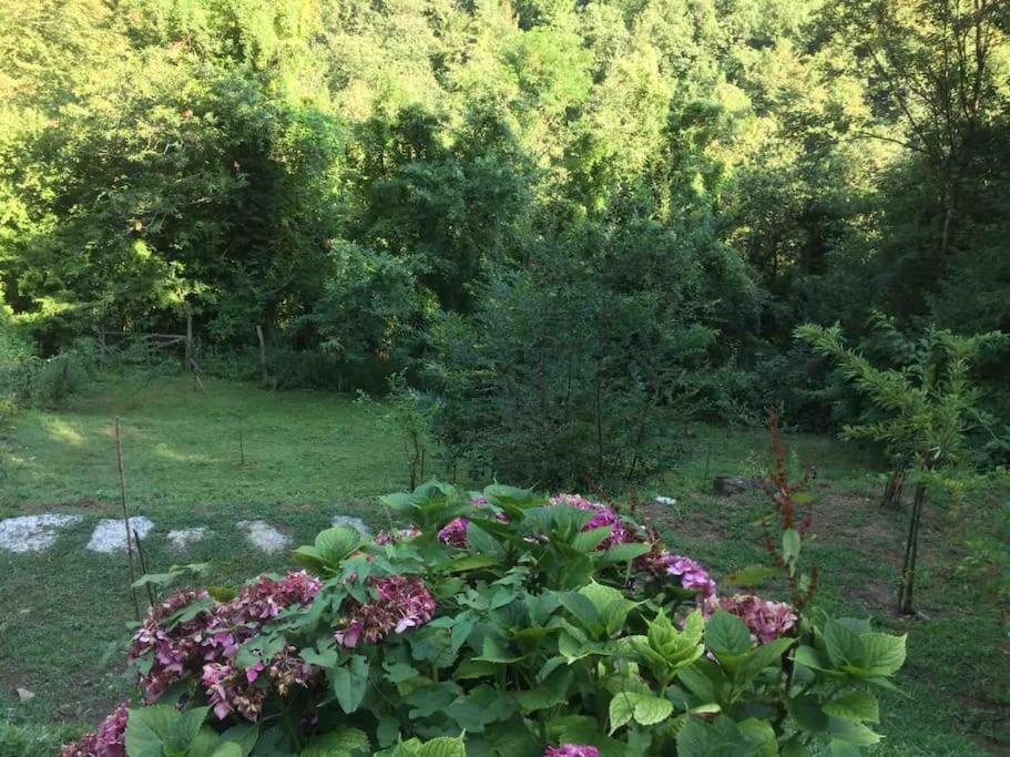 La Casetta nel bosco! photo 4