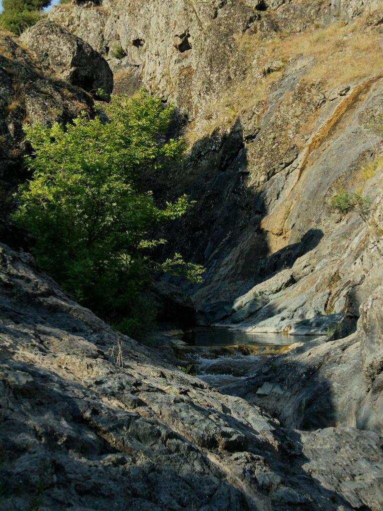 katafygio-oiti photo 4