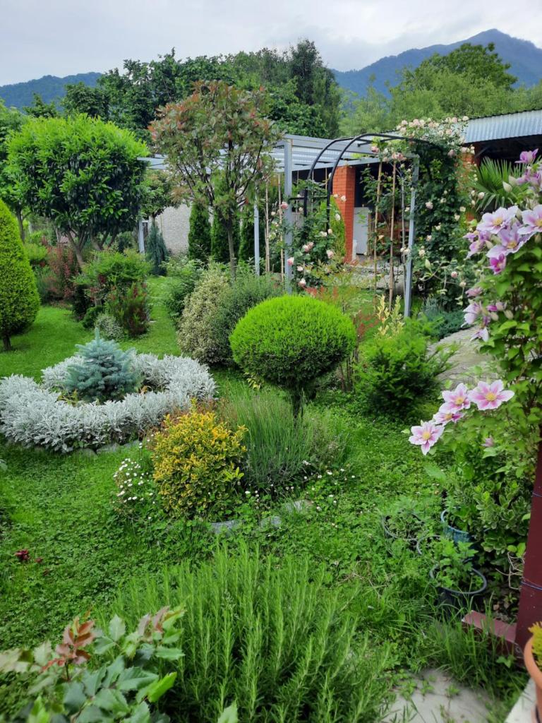 Guest House Gardenia & Wine Cellar photo 2