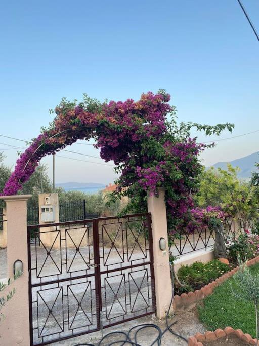 villa kastanos photo 2