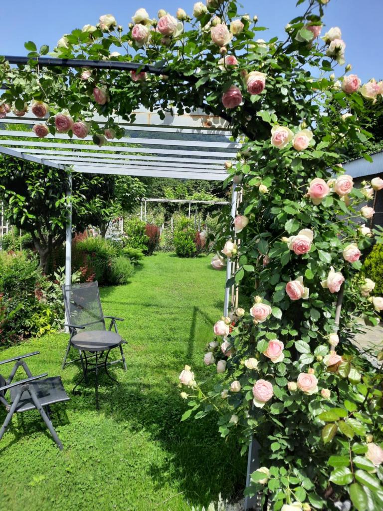 Guest House Gardenia & Wine Cellar photo 1