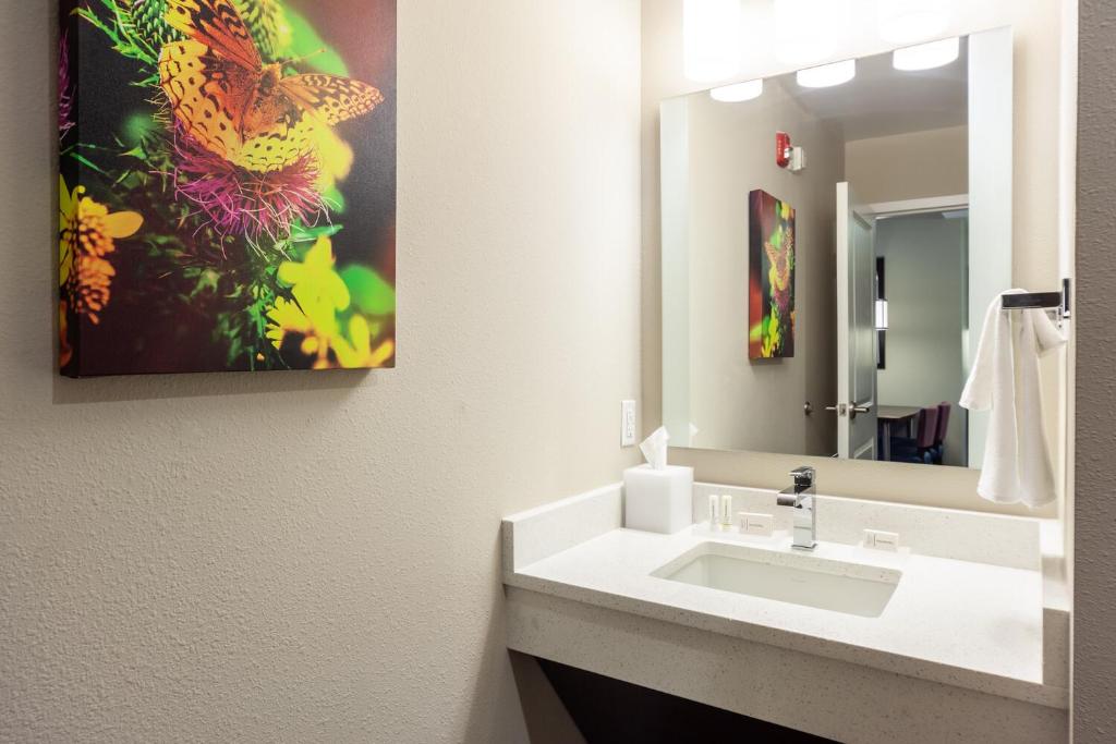 TownePlace Suites by Marriott Front Royal photo 3