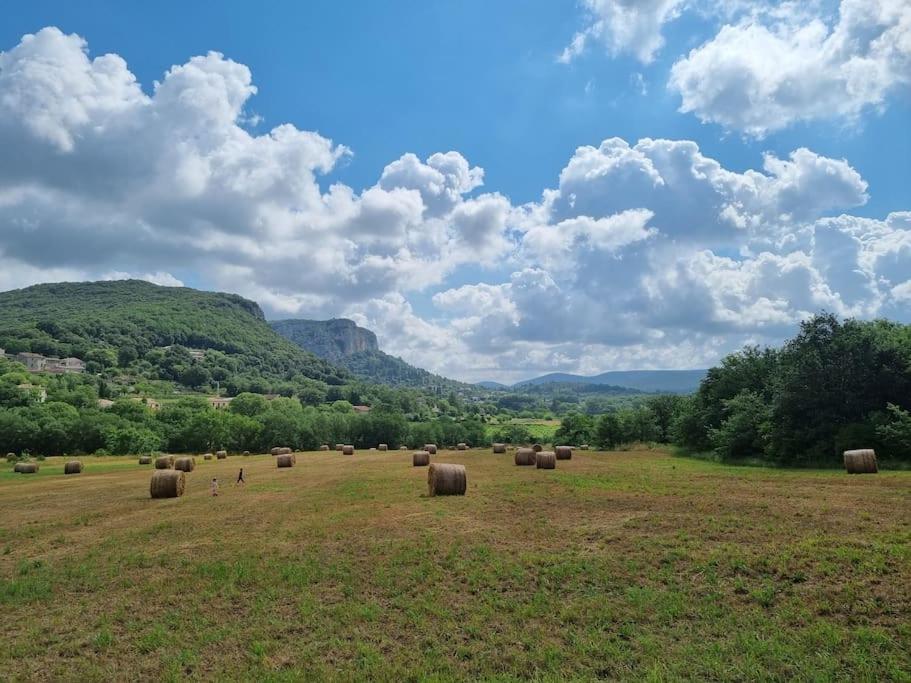 Domaine d'Olivet photo 1