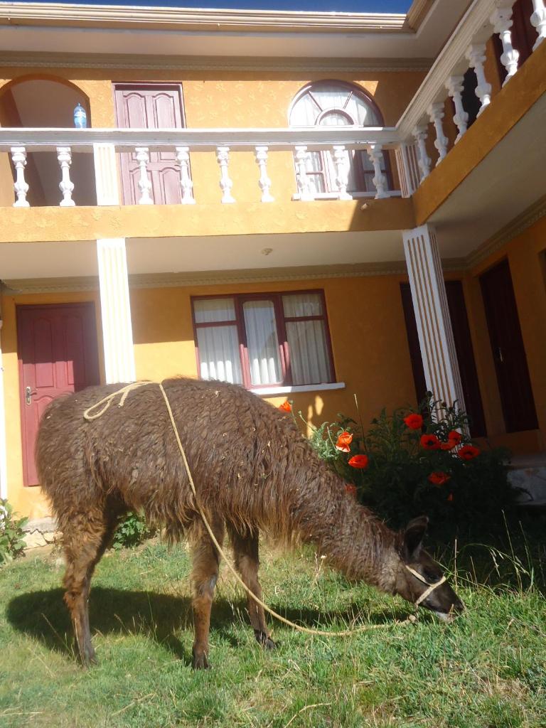 Hostal del Sol Isla del Sol photo 1
