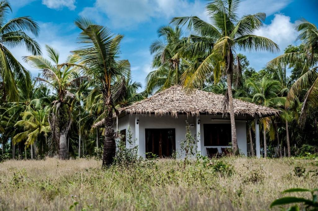 Anahata Resort photo 4