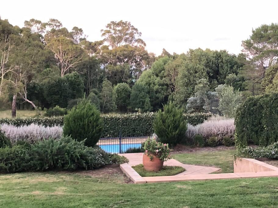 Lenore at Armidale photo 1