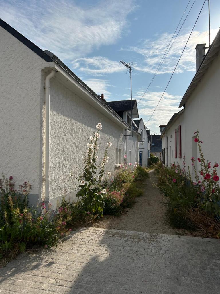 Villa en bord de mer photo 1