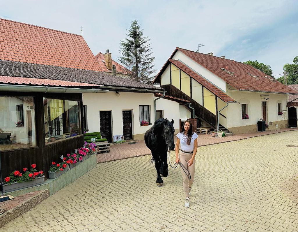 Penzion Arendel photo 3