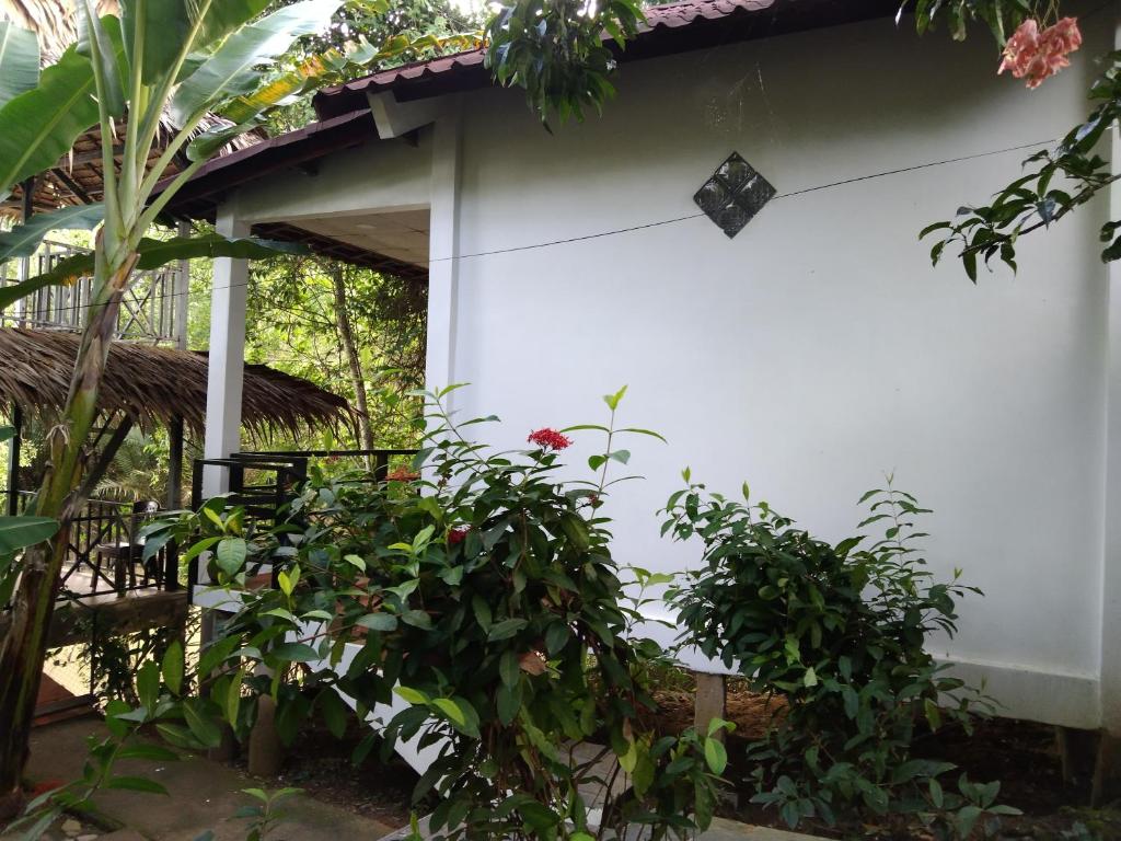 Quoc Phuong Riverside Homestay