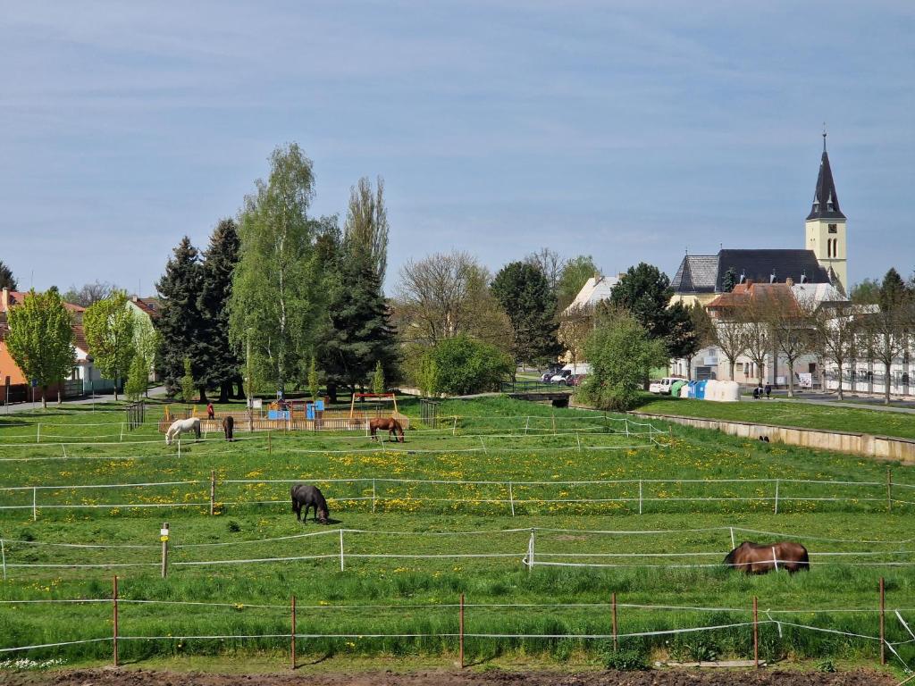 Apartmán NH Stables photo 1