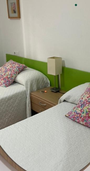 Apartamentos Alcañiz, Alicia