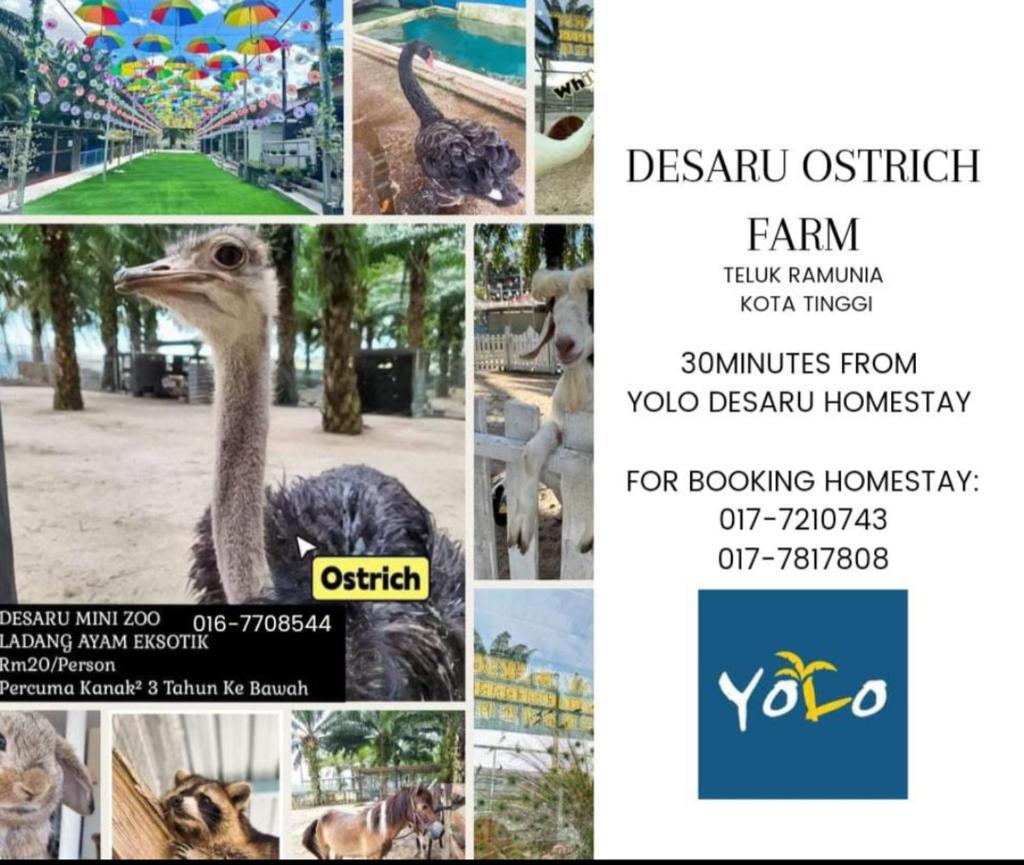 Desaru Homestay-Eva Villa Pool Homestay by Yolo Resort photo 1