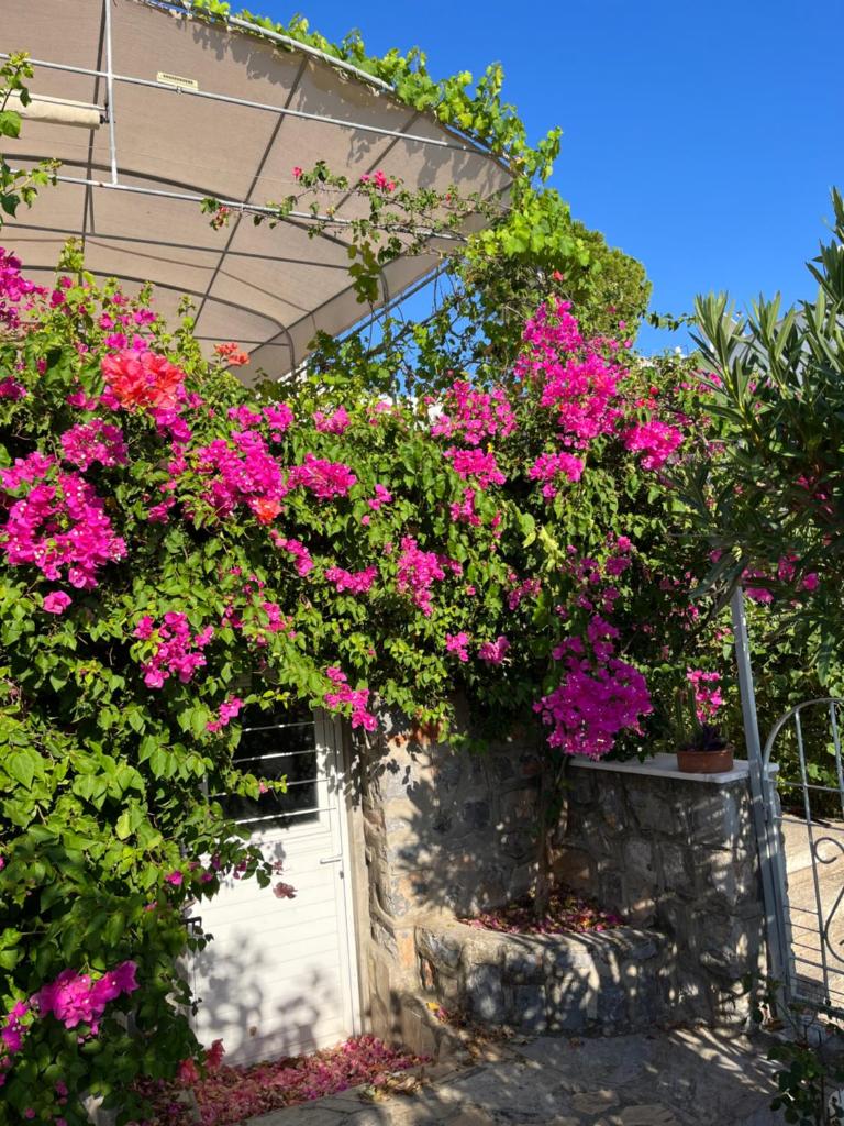 Viva Bella Vista - near the Beach and AirPort photo 1