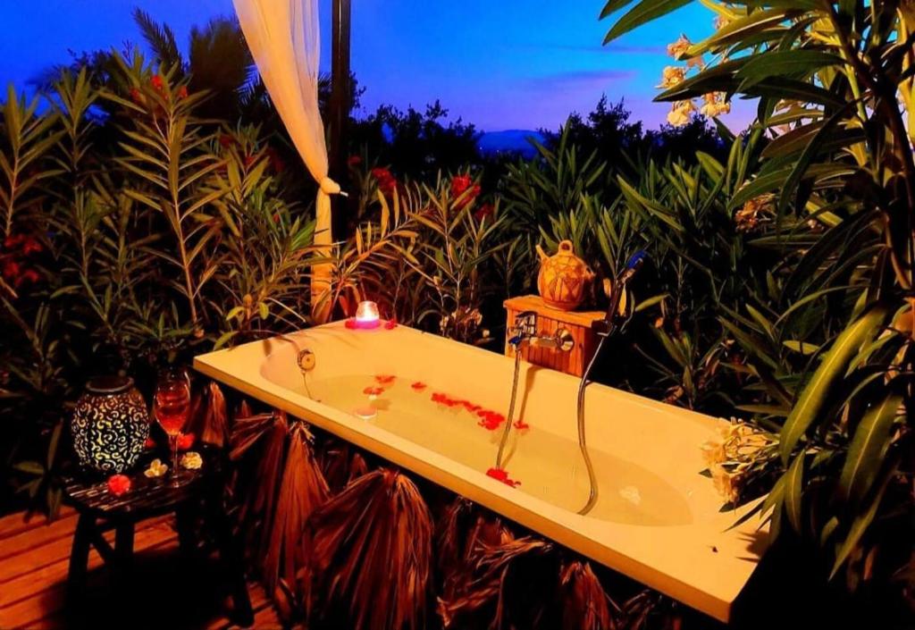 Casa Pino with private pool and garden photo 4
