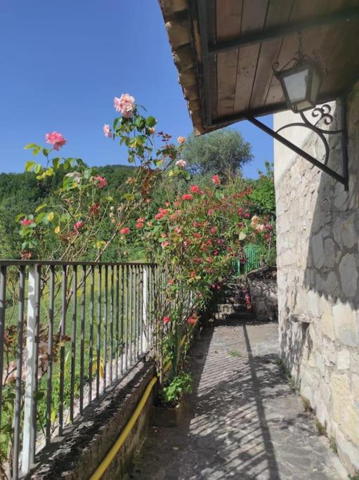 Casa Vacanze Le Vigne