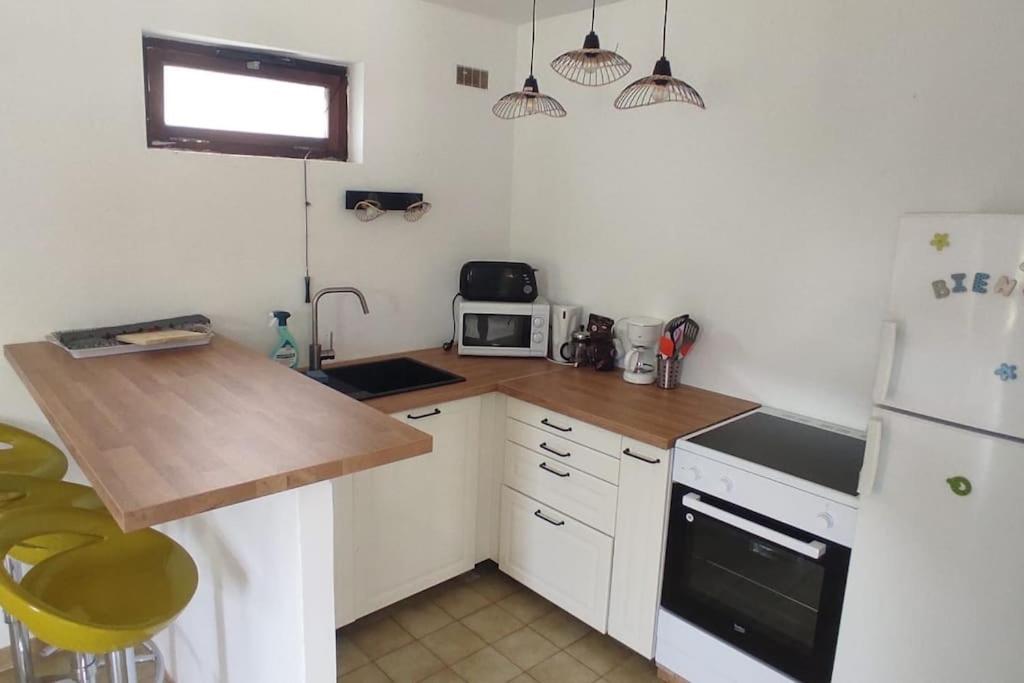 Appartement au fond du jardin photo 3