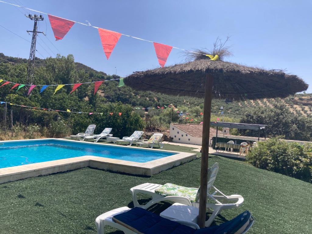 El Molino photo 3