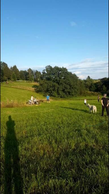 Kleiner Urwald photo 2