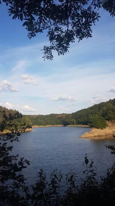 Kleiner Urwald photo 4