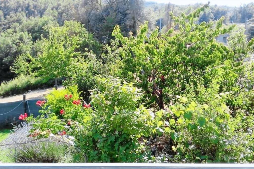Casa Vacanze Le Vigne photo 3