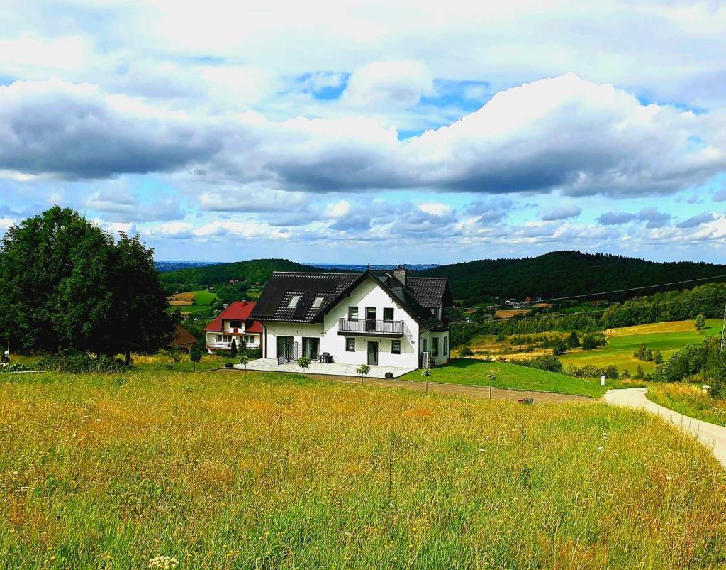 Zasankowe Wzgórze photo 3