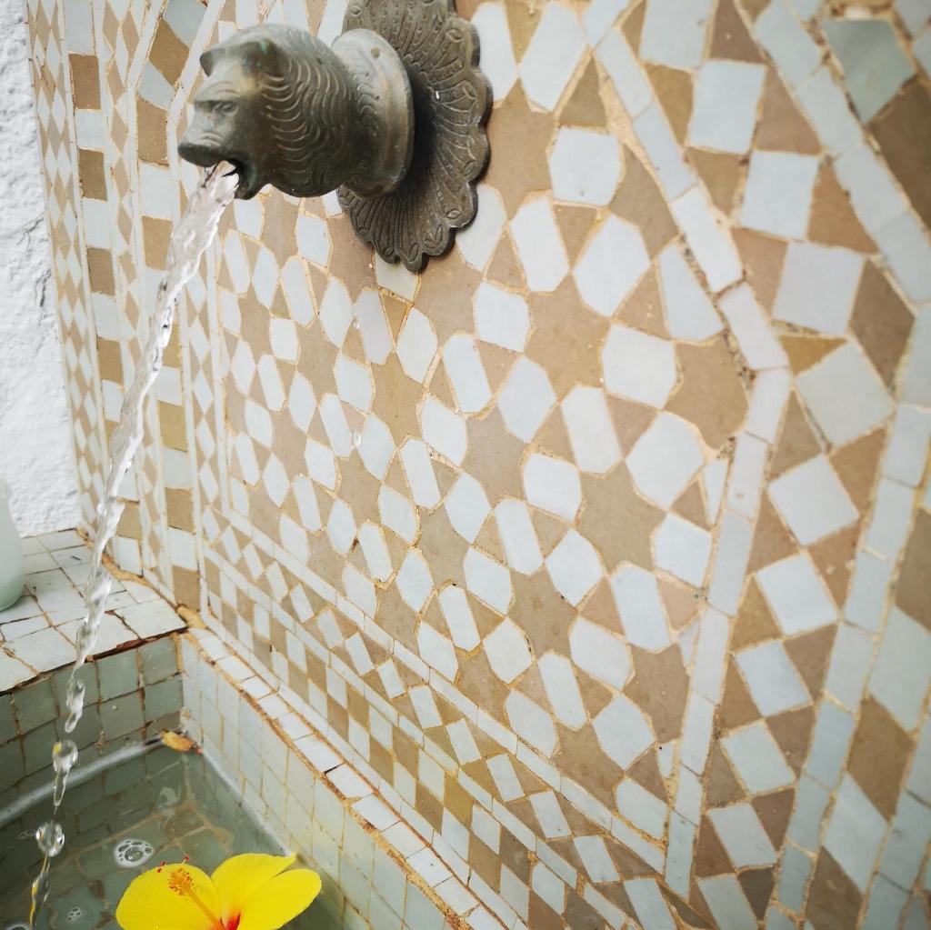 Casa 44 photo 4