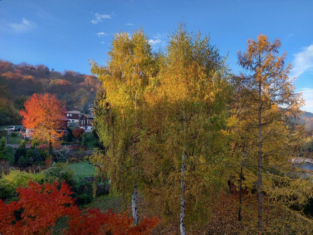 Apartment mit Herz photo 2