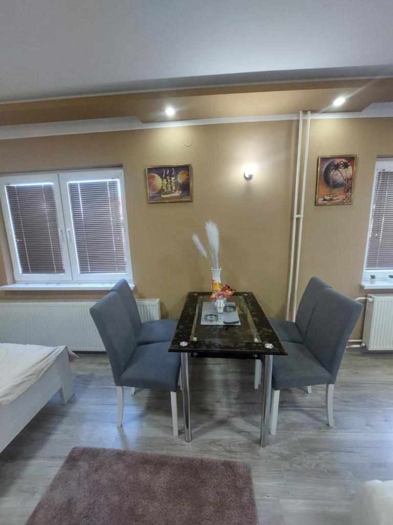 Stan na Dan Jovanovic photo 1