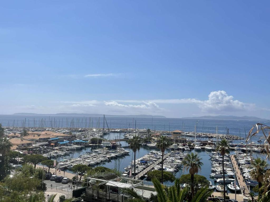 Appartement Le Lavandou, 3 pièces, 4 personnes - FR-1-308-179 photo 1