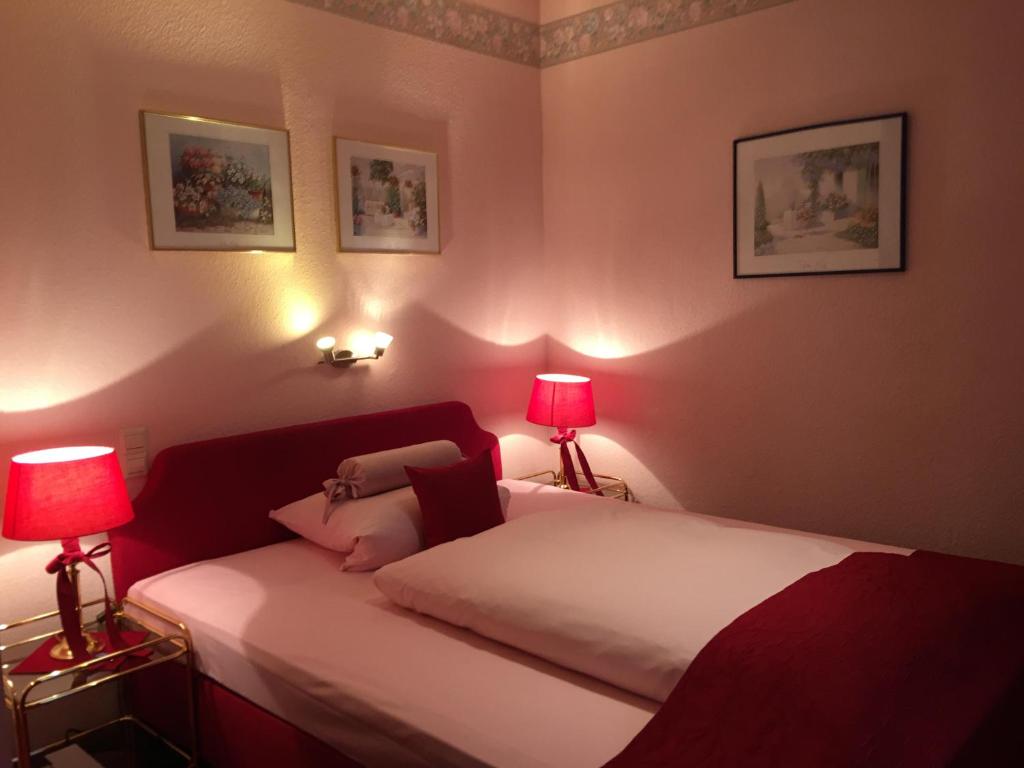 Hotel Der Schwan photo 1