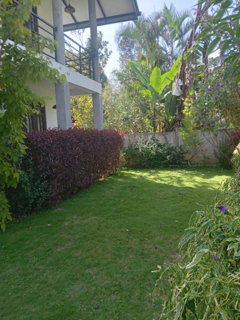 Traveller's Villa photo 1
