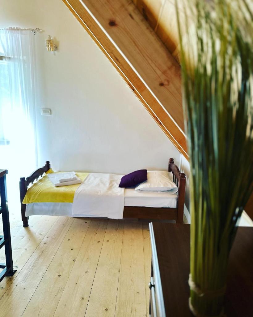 Dream House photo 4
