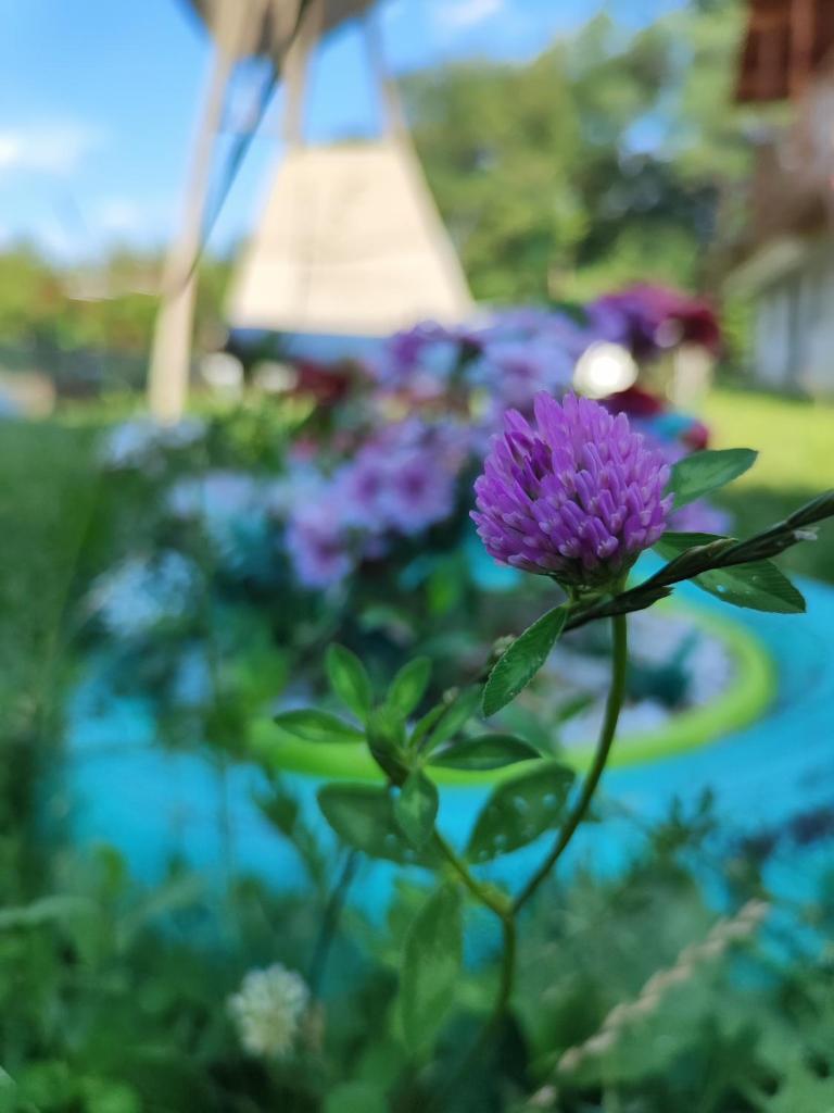 Happy Home photo 3