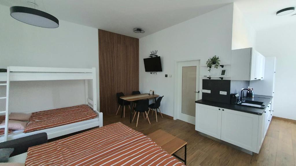 Moderní apartmán na Šumavě - Zdíkovec 21 photo 4