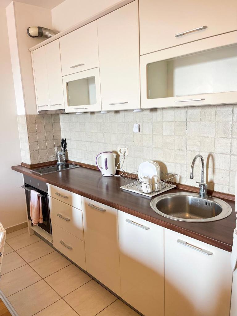 Becici Apartment photo 4