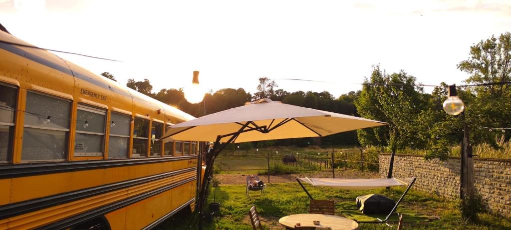 The School Bus photo 2