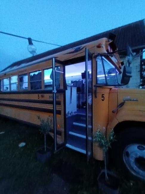 The School Bus photo 3