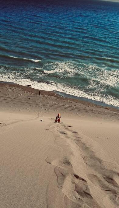 Te SHPIA photo 3