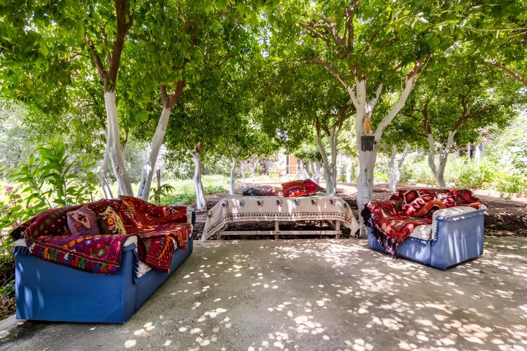 Hotel Mazı photo 4
