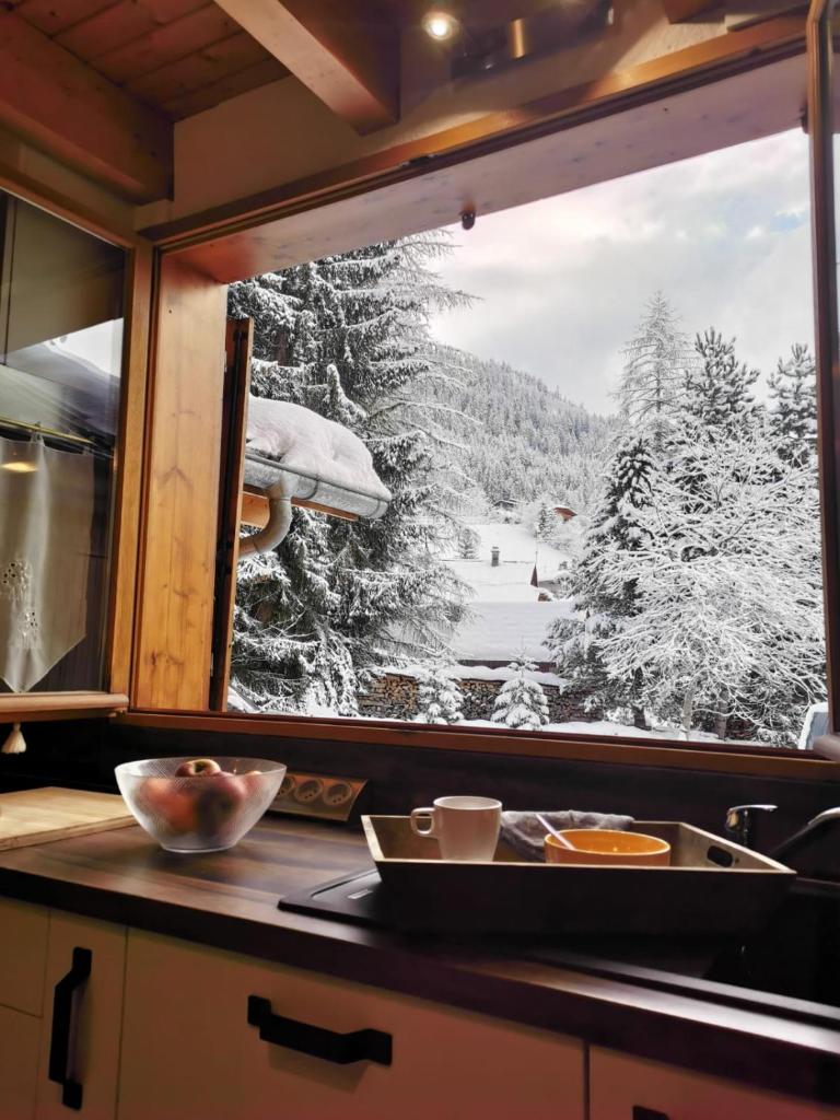 Demi-Chalet l'Ancolie -- Prox pistes photo 2