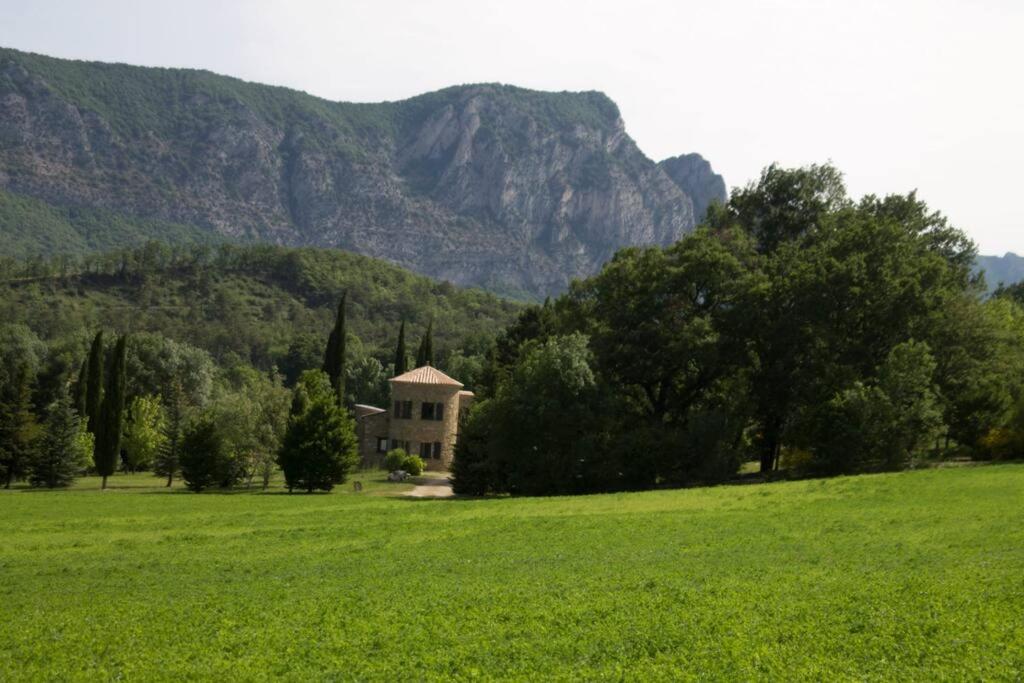 Magnifique maison en pierre avec piscine photo 3